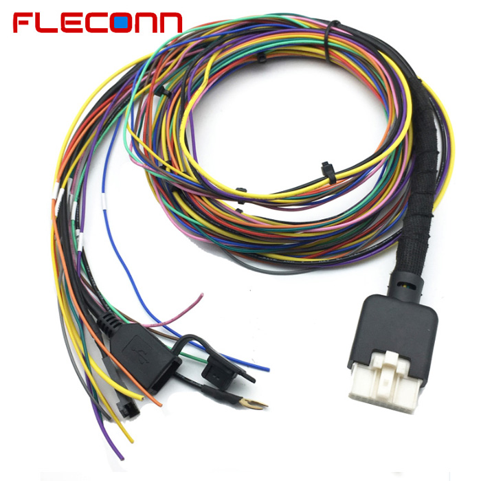 Custom Overmoloded Wire Harness.jpg