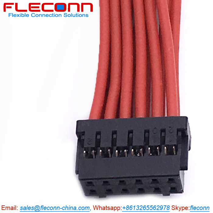 Hirose DF11 Series 12P 12 Positions Double Row Connector Wire Harness.jpg