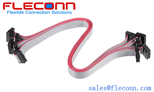 12 Pin Ribbon Cable