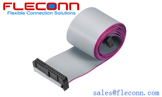 30 Pin Ribbon Cable
